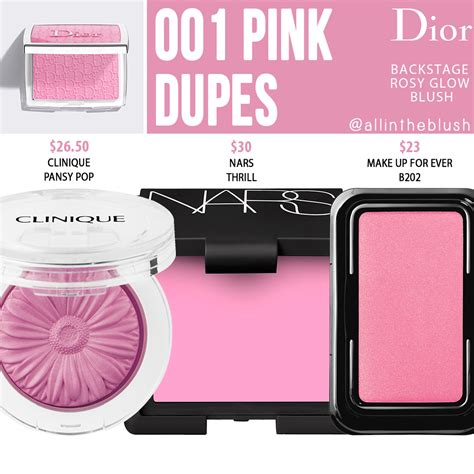 dior backstage pink blush|Dior Backstage blush dupes.